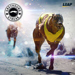 Greyhounds Streak