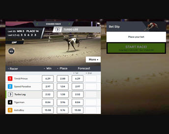 Greyhounds Streak