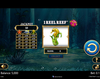 1 Reel Reef