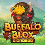 Buffalo Blox Gigablox