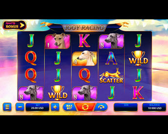 Iggy Racing