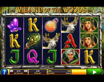 Wizard of the Woods