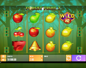 Forest Fruit 7