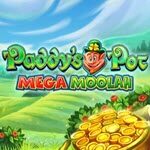 Paddy's Pot Mega Moolah