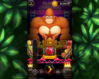 Donki Kong