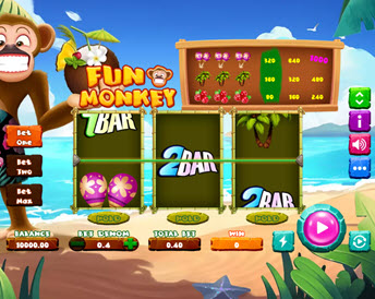 Fun Monkey