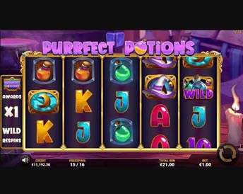 Purrfect Potions
