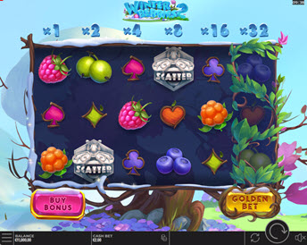 Winterberries 2