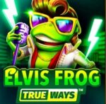 Elvis Frog True Ways в турнире на 4 000 FS от Playamo Casino