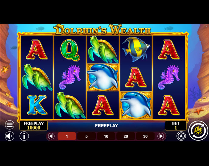 Dolphin’s Wealth