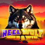 Reel Wolf
