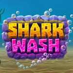 Shark Wash