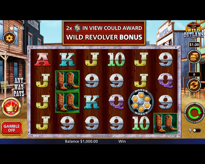 Wild Outlaws