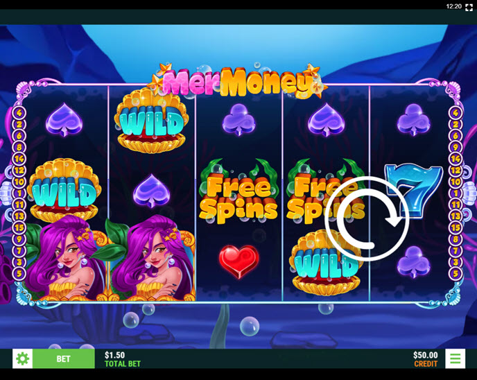 MerMoney