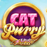 Cat Purry