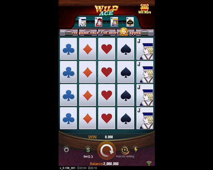 Wild Ace