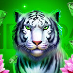 Сокровища Джунглей в турнире с гарантией 40 000 EUR от 3 Oaks Gaming