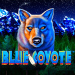 Blue Coyote