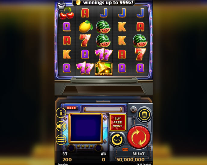 Bonanza Coins