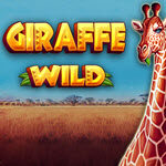 Giraffe Wild