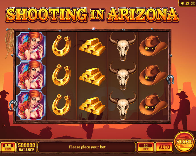 Shooting in Arizona