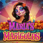 Maria's Marigolds