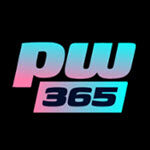 PlayWise365 Casino