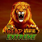 The Wild Life Extreme