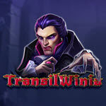 TransilWinia