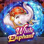 White Elephant