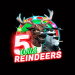 5 Wild Reindeers