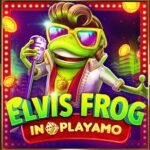 Elvis Frog in Playamo Slot в осеннем турнире на 4 000 FS от Playamo Casino