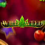 Wild Weed
