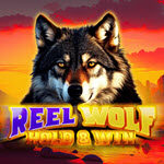 Reel Fox