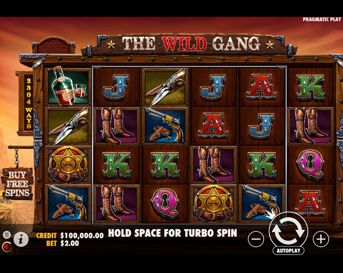 The Wild Gang