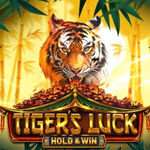 Tiger's Luck