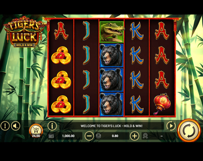 Tiger's Luck