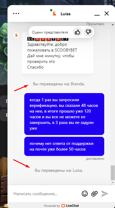 comment_300979