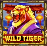Wild Tiger Slot в турнире на 4 000 FS от Playamo Casino
