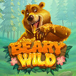 Beary Wild