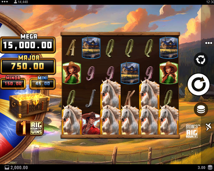Bronco Big Bounty