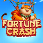 Fortune Crash