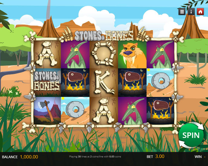 Stones and Bones