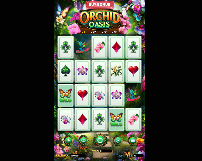Orchid Oasis