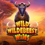 Wild Wildebeest Wins