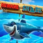 Beware the Shark