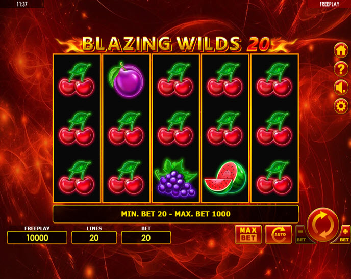 Blazing Wilds 20