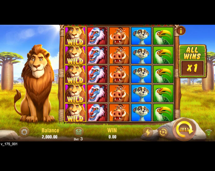 Safari Mystery