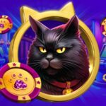Турнир на 100 000 RUB + 1 000 медалей Кот, слот и мегаприход в Champion Slots Casino