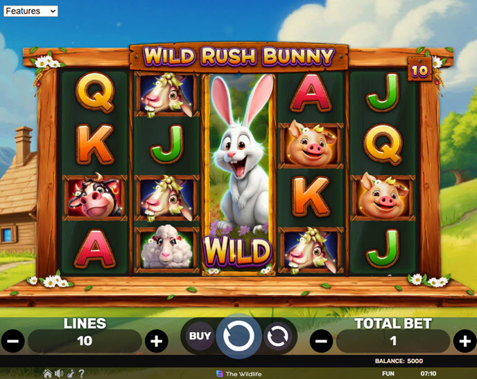 Wild Rush Bunny
